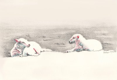 Tupplur, 2016, (pennteckning) av Helen White