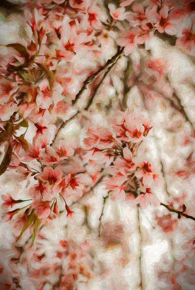 Orientalis, 2020 av Helen White