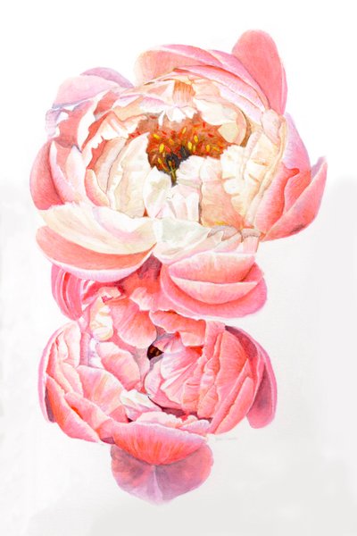  av Helen White
