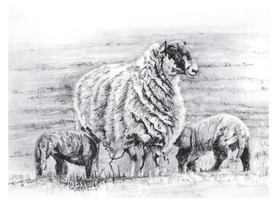 av Helen White