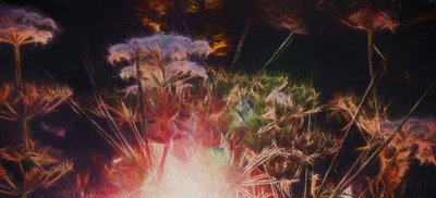 Radiant Hedgerow, 2018, swed av Helen White