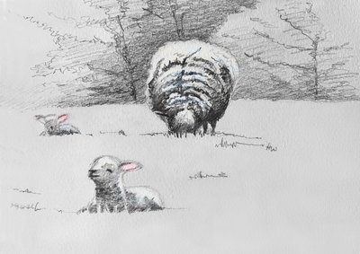 Sheep Trio, 2022 av Helen White