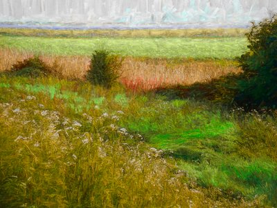 Summer Meadow, 2019 av Helen White