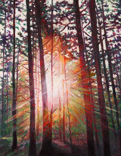 Sunburst, 2010 av Helen White