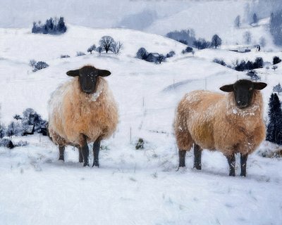 Vinterrockar, 2019 av Helen White
