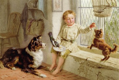 Vänner av Helena J. Maguire