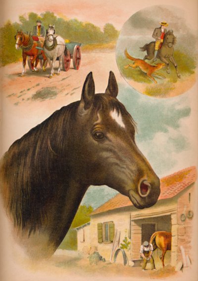 Hästen, c1900 av Helena J. Maguire