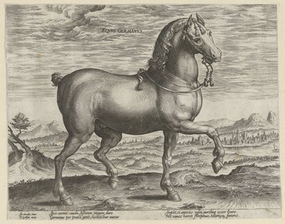 swedish av Hendrick Goltzius (possibly)