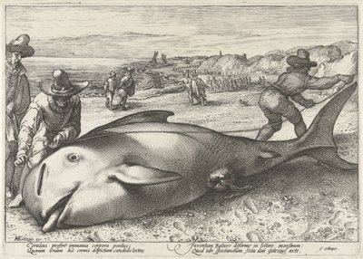 Strandad grindval på stranden vid Zandvoort, 1594 av Hendrick Goltzius (workshop of)