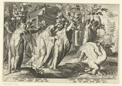 Phaëthons systrar förvandlas till poppel och hans vän till en svan Ovidius metamorfoser (serietitel) av Hendrick Goltzius (workshop of)