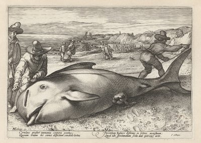 Två män mäter en strandad val av Hendrick Goltzius (workshop of)