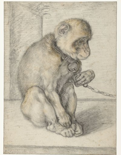 En sittande apa på en kedja Apa på en kedja, sittande av Hendrick Goltzius