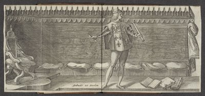 Härold Ursprung och kort historia av grevarna av Hollandt Zeelandt och de Vrieslandt (serietitel) Grevar och grevinnor av Holland (serietitel) av Hendrick Goltzius