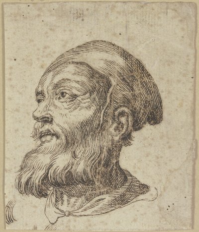 Huvud av en gammal man i trekvartsprofil åt vänster av Hendrick Goltzius