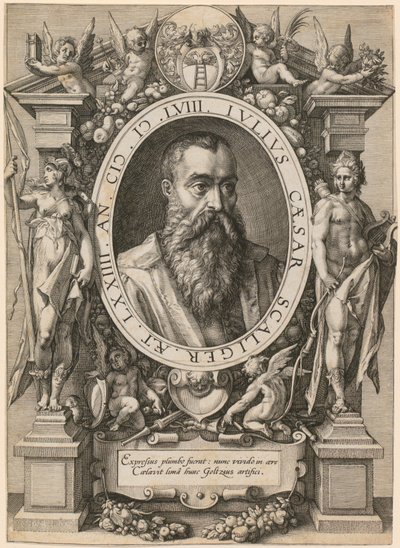 Porträtt av Julius Caesar Scaliger av Hendrick Goltzius
