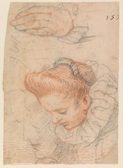 Skissblad med kvinnohuvud och hand av Hendrick Goltzius