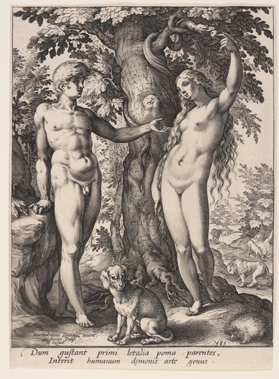 Människans fall av Hendrick Goltzius