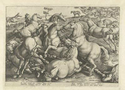 Tolv kamphästar Hästaraser från Royal Stables of Don Juan of Austria (serietitel) av Hendrick Goltzius