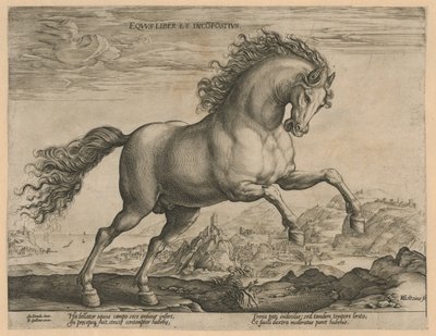 vildhäst Eqvvs liber et incompǒsitvs (titel på objekt) Hästaraser från Royal Stables of Don Juan of Austria (serietitel) av Hendrick Goltzius