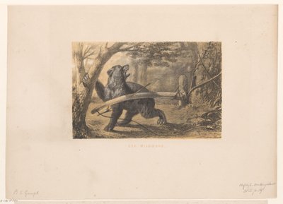 Björn i en fälla En spelbåge (titel på objekt) av Hendrik Adriaan Christiaan Dekker