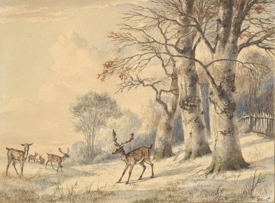 Rådjur under bokträd på sommaren 1853. av Hendrik Gerrit ten Cate