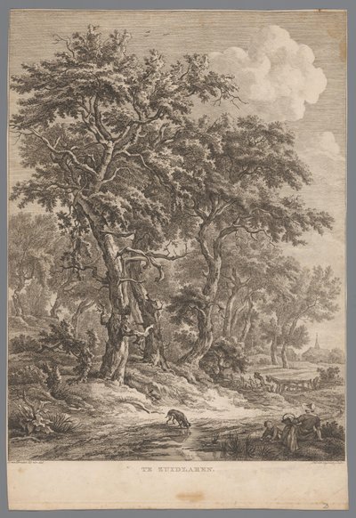 Landskap vid Zuidlaren I Zuidlaren (titel på objekt) Nio ansikten i Drenthe (serietitel) IX Ansikten i och nära Drenthes landskap (serietitel) av Hendrik Schwegman