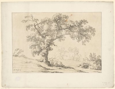 Träd i landskapet Tentamina Lithographica (serietitel) Italienska landskap (serietitel) av Hendrik Voogd