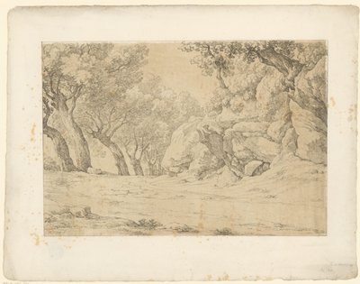 Aveny med igenvuxna stenar Tentamina Lithographica (serietitel) Italienska landskap (serietitel) av Hendrik Voogd