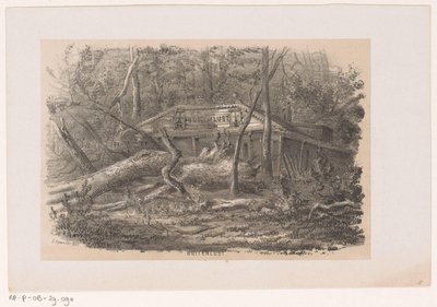 Träd som blåste ner vid Buitenlust, efter stormen den 28 maj 1860 Buitenlust (titel på objekt) Album med tio litograferade skisser, föreställande Tooneelen of the Destruction, agitated by the storm of the 28 maj, 1860 in the 