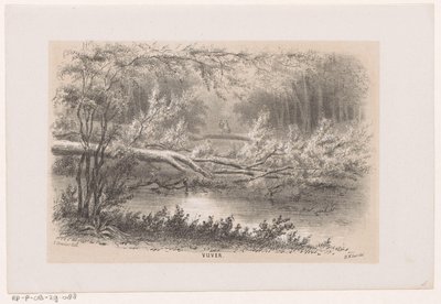 Träd blåst, efter stormen den 28 maj 1860 Damm (titel på objekt) Album med tio litografiska skisser, föreställande Tooneelen of the Destruction, agiterad av stormen den 28 maj 1860 i 
