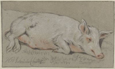 liggande gris av Hendrik Willem Schweickhardt (signed by artist)