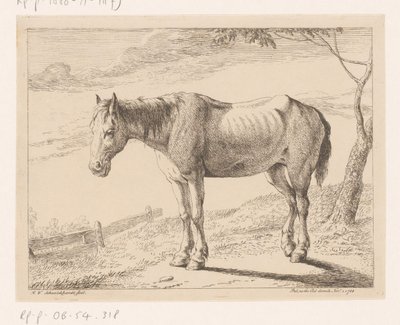 Häst Olika djur (serietitel) av Hendrik Willem Schweickhardt
