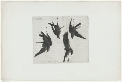 Fyra döda kråkor hängande på en vägg av Henri Charles Guérard (signed by artist)