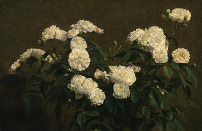 Stilleben med vita rosor av Henri Fantin Latour