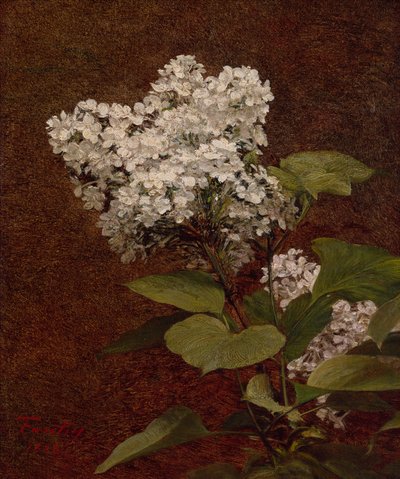 Vita syrener av Ignace Henri Jean Fantin Latour