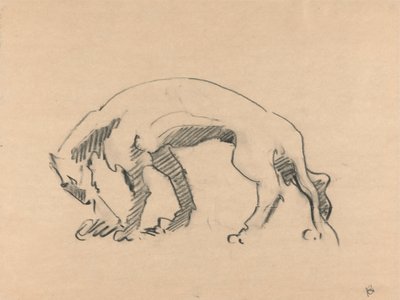 Lejoninna i profil av Henri Gaudier Brzeska