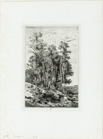Björkar och ekar av Henri Joseph Harpignies