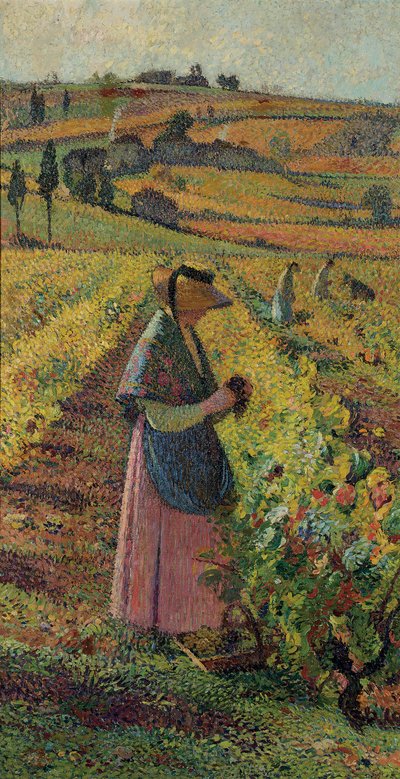 Skörden; Druvskörden, c.1925 av Henri Martin