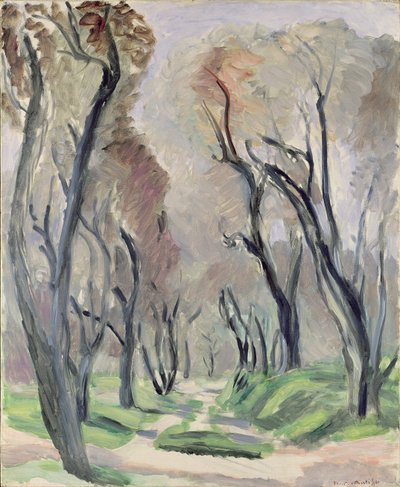 Olivträdets aveny av Henri Matisse