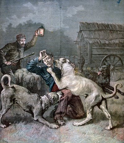 En brottsling attackerad av tre stora hundar, 1891 av Henri Meyer