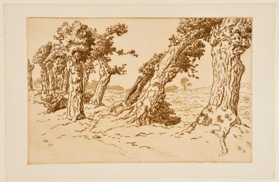 Knotige Baumstämme av Henri Rivière