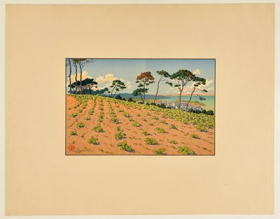 [Douarnenez sett från Route du Ris] av Henri Rivière