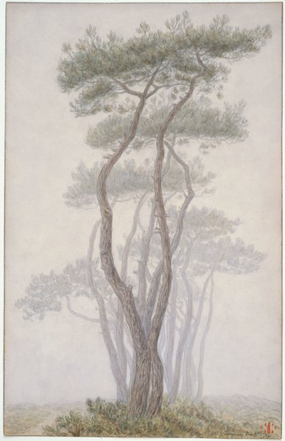 Loguivy, träd av Henri Rivière