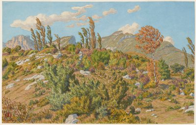 Barberaz-platåerna av Henri Rivière