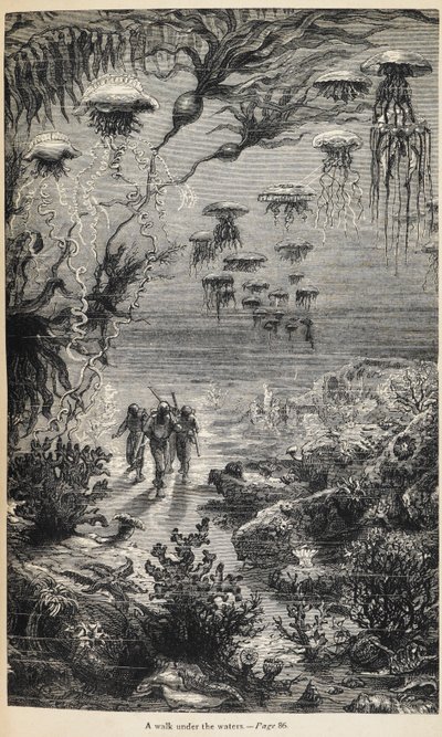 Illustration för 