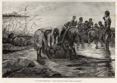 En flodhästslaktare på stranden av en centralafrikansk flod. Gravyr av Henri Thiriat för att illustrera berättelsen "" La mission Crampel"", av Albert Nebout (1862-1939), 1890, i Le tour du Monde 1892, regisserad av Edouard Charton (1807-1891), Hachette, P av Henri Thiriat