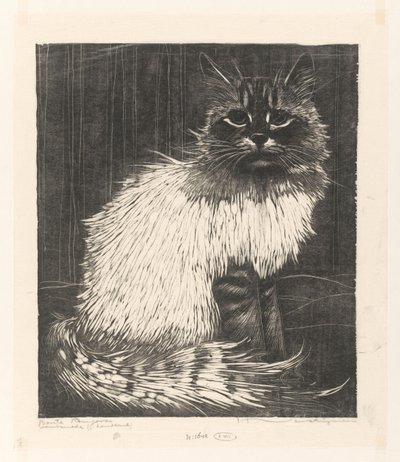 Bonte Angora (originaltitel på objekt) av Henri Verstijnen (signed by artist)
