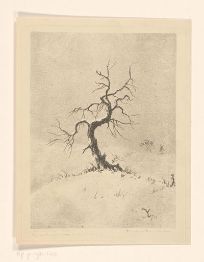 Lonely Tree (originaltitel på objekt) av Henri Verstijnen (signed by artist)