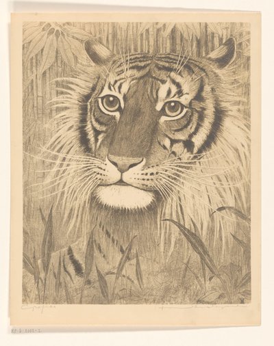 Huvudet av en tiger av Henri Verstijnen (signed by artist)