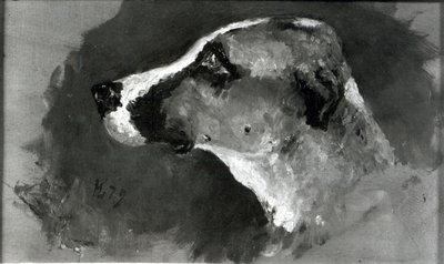 Kopf eines Hundes mit kurzen Ohren, 1879 von Henri de Toulouse Lautrec